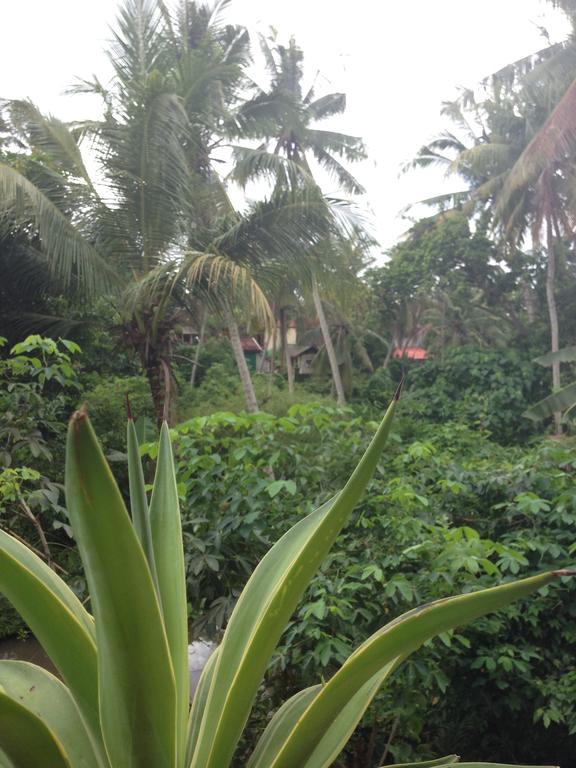 Cebluk Sari Appartement Ubud Buitenkant foto