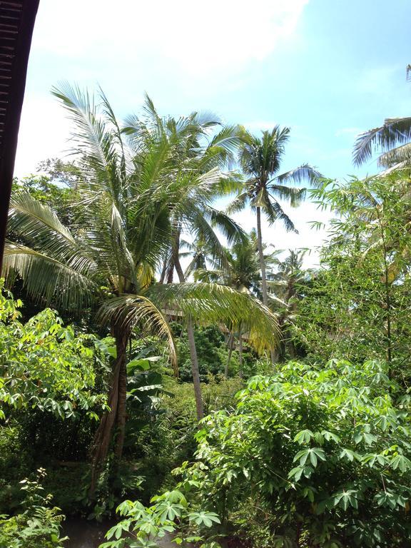 Cebluk Sari Appartement Ubud Buitenkant foto